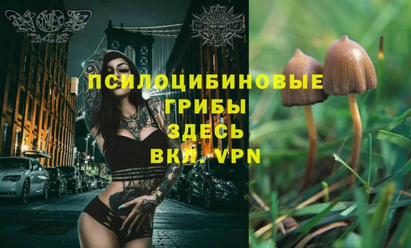 ALPHA PVP Армянск