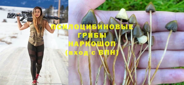 ALPHA PVP Армянск