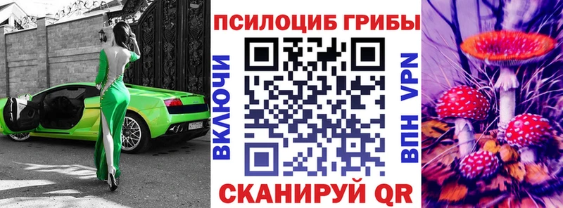дарнет шоп  Наволоки  Галлюциногенные грибы MAGIC MUSHROOMS 